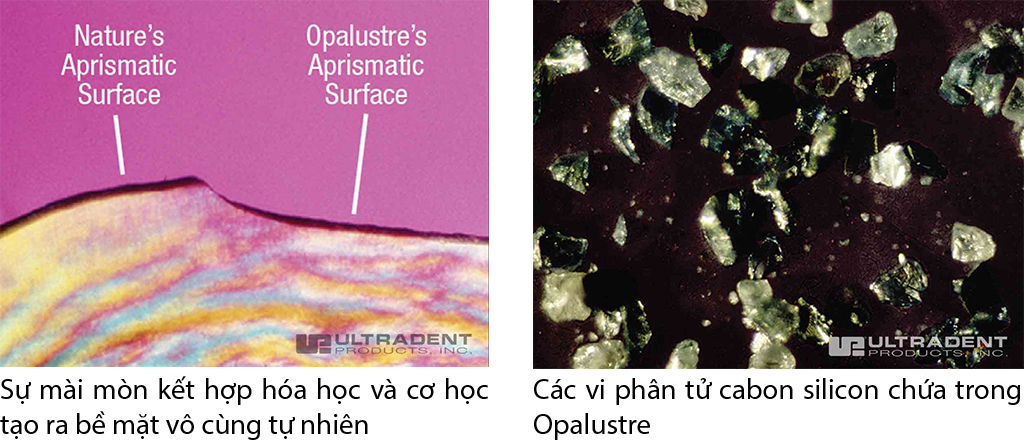 Opalustre 2