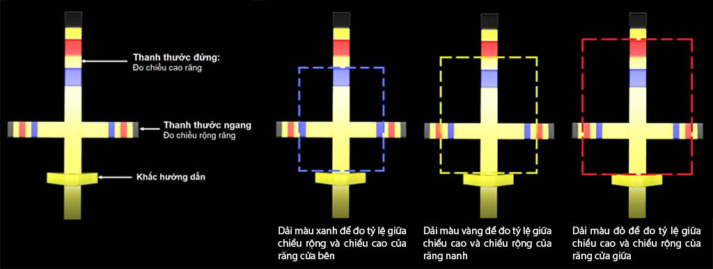 thuoc-do-ty-le-can-xung-than-rang-dr.-chu-t-bar-3-1