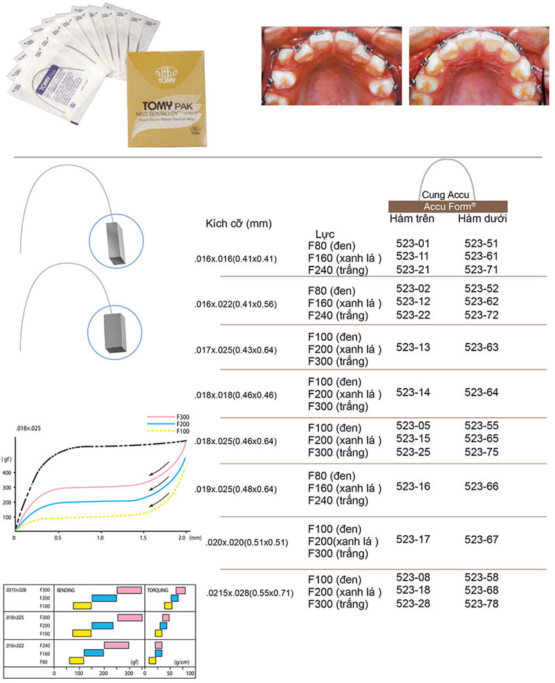 Neo Sentalloy-tomy 1