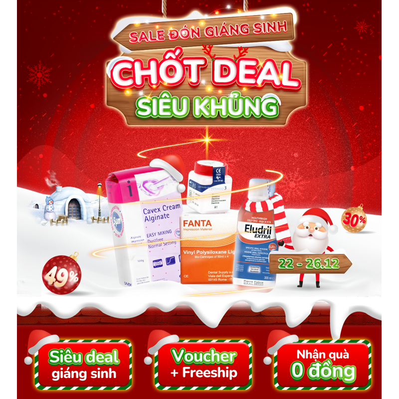 Sale đón giáng sinh
