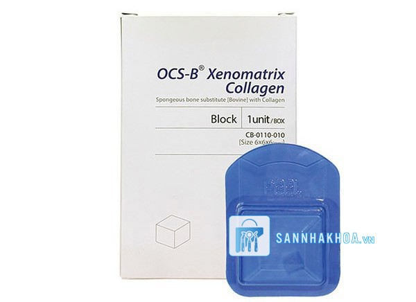 Xương khối collagen OCS-B xenomatrix