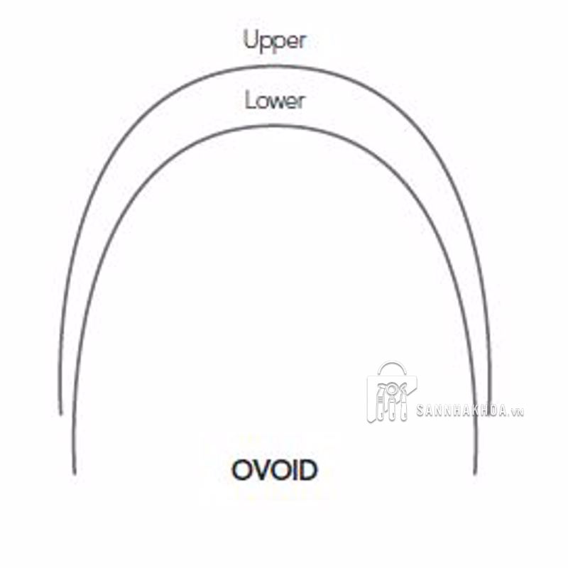 dây cung niti tròn - ảnh sản phẩm thực tế