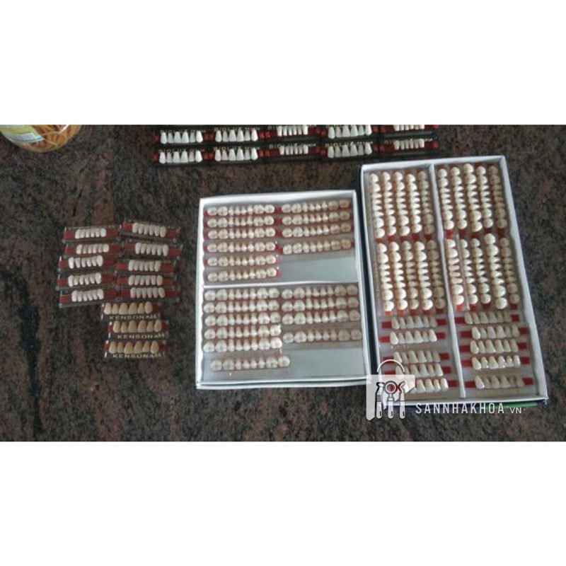 Răng nhựa tháo lắp hàng ngoại nhập