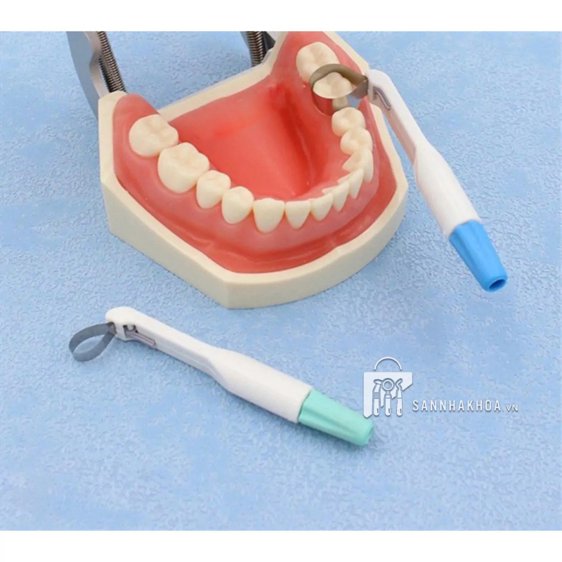 Cây Tạo Hình Trám Xoang