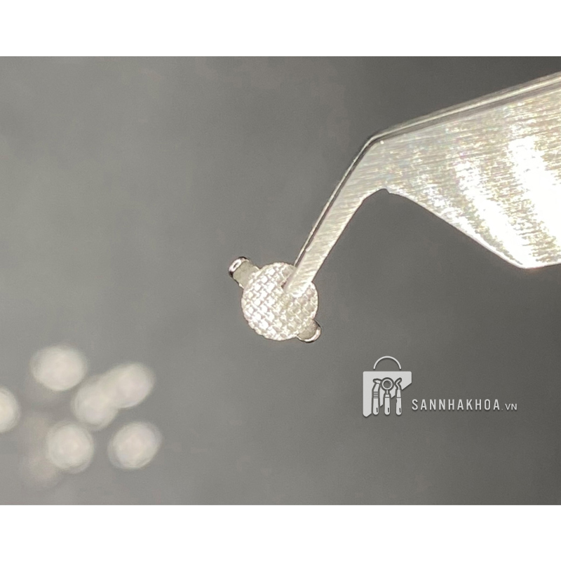 button - hình cánh - ảnh sản phẩm thực tế