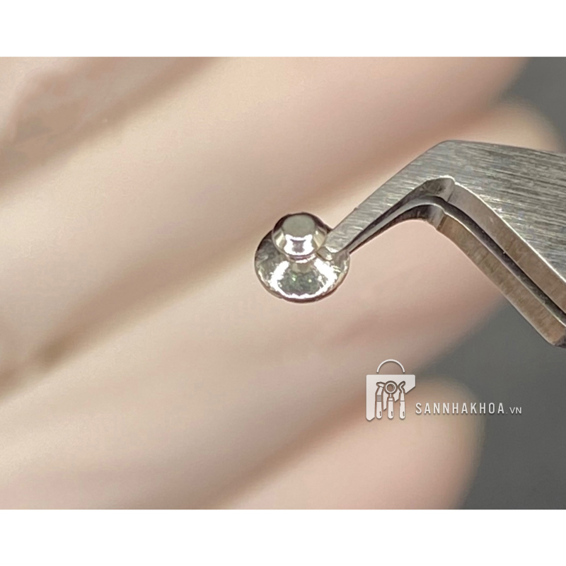 Button Đế Tròn Trơn EKSEN - ảnh sản phẩm thực tế