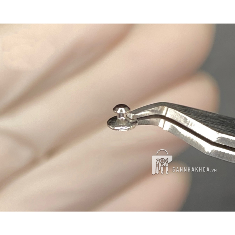 Button Đế Tròn Trơn EKSEN - ảnh sản phẩm thực tế