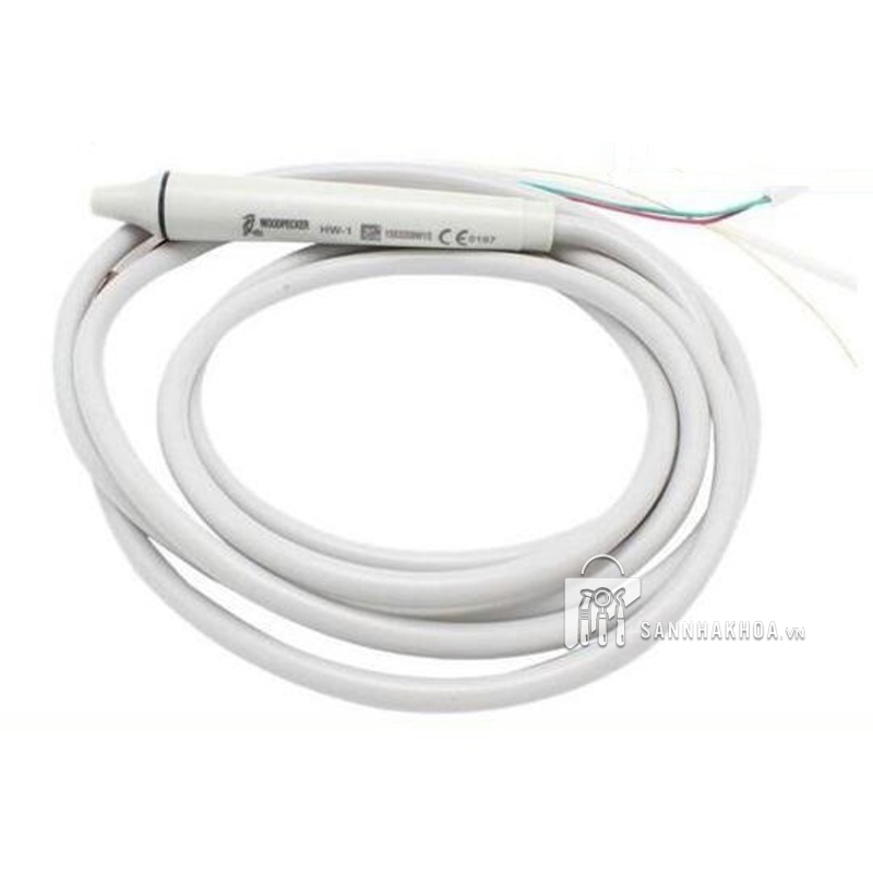 Dây Máy Lấy Cao Woodpecker