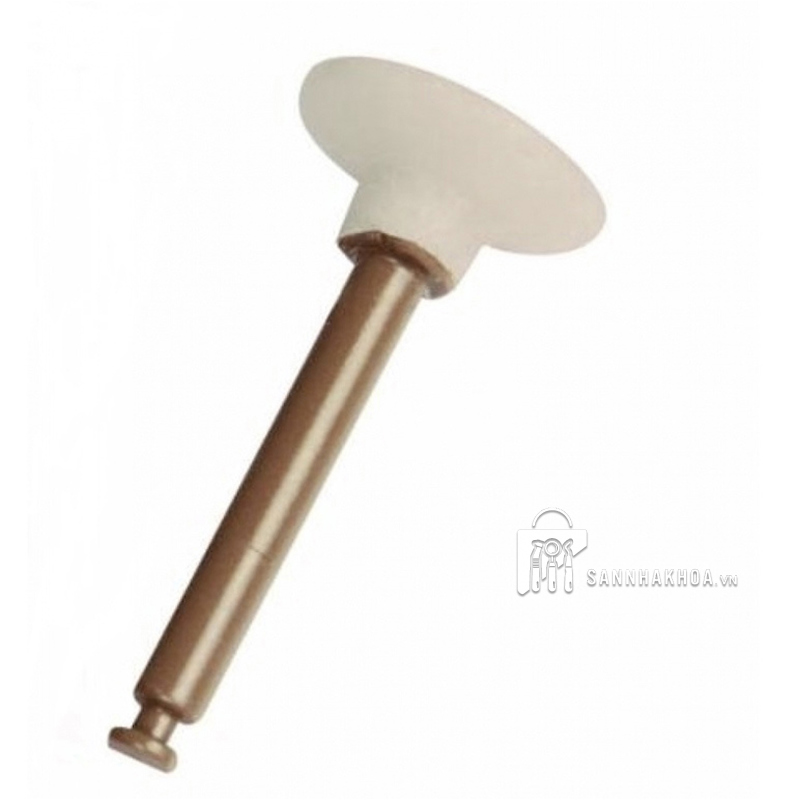 composite dentsply - ảnh sản phẩm thực tế