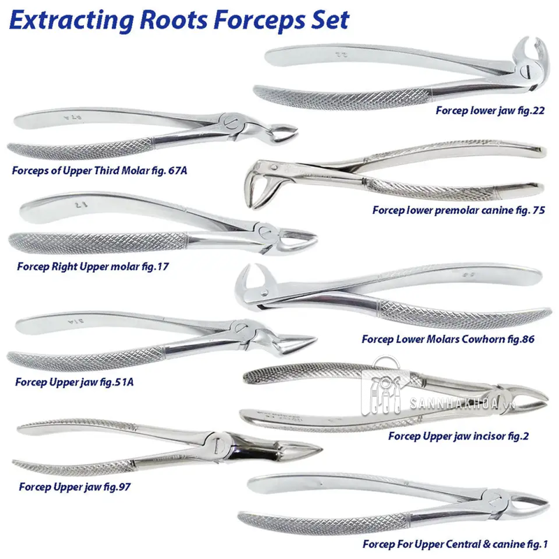 Kìm Nhổ Răng Hàm Dưới Prime – Tối ưu thao tác, bền bỉ trong từng ca nhổ - ảnh sản phẩm thực tế