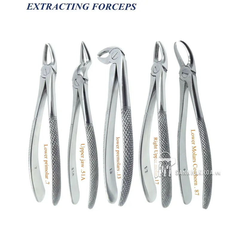 Kìm Nhổ Răng Hàm Dưới Prime – Tối ưu thao tác, bền bỉ trong từng ca nhổ - ảnh sản phẩm thực tế