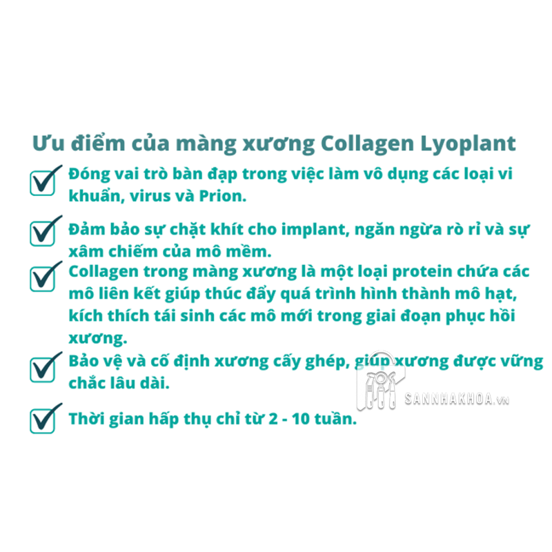 Màng collagen Aesculap BBraun từ tim bò, hấp thu 8-16 tuần - ảnh sản phẩm thực tế