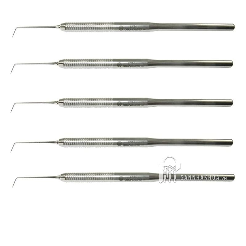 cây thám trâm và nạo túi explorer - ảnh sản phẩm thực tế