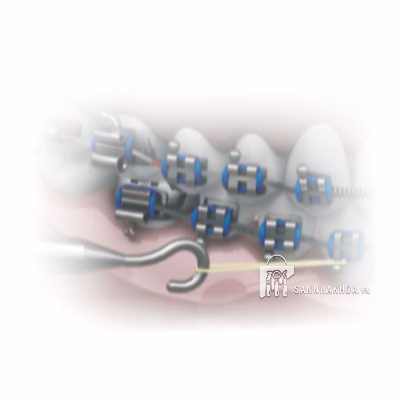 thun morelli - ảnh sản phẩm thực tế