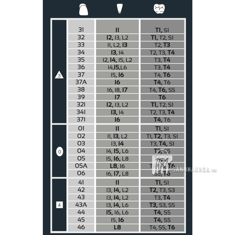 Răng Composite Primodent Polydentia - Tích hợp 3 lớp PMMA - ảnh sản phẩm thực tế Răng Composite Primodent Polydentia - Tích hợp 3 lớp PMMA - ảnh sản phẩm thực tế