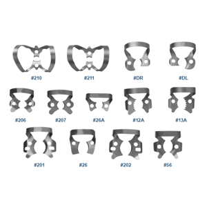 #12A Lower molars / Wisdom teeth