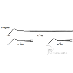 root canal - ảnh sản phẩm thực tế