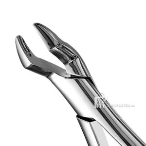 kiềm nhổ răng forcep - ảnh sản phẩm thực tế kiềm nhổ răng forcep - ảnh sản phẩm thực tế