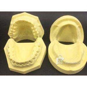 khay đựng mẫu hàm labo - ảnh sản phẩm thực tế