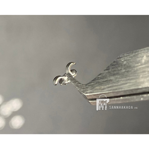 button sứ - ảnh sản phẩm thực tế