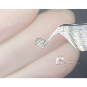 button moreli - ảnh sản phẩm thực tế