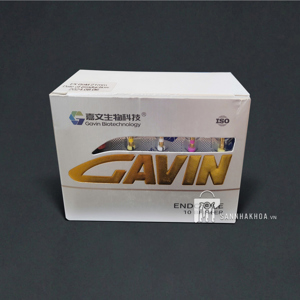 file máy rogin - ảnh sản phẩm thực tế