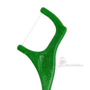 chi nha khoa - ảnh sản phẩm thực tế