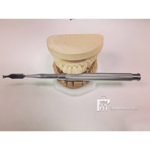 periodontal e - ảnh sản phẩm thực tế