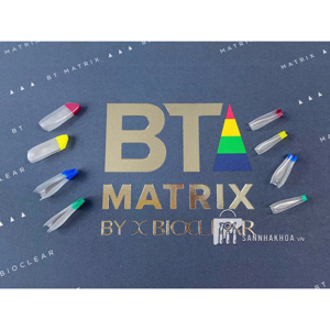 Bộ khuôn trám cho tam giác đen Black Triangle (BT) Kit- Bioclear - ảnh sản phẩm thực tế