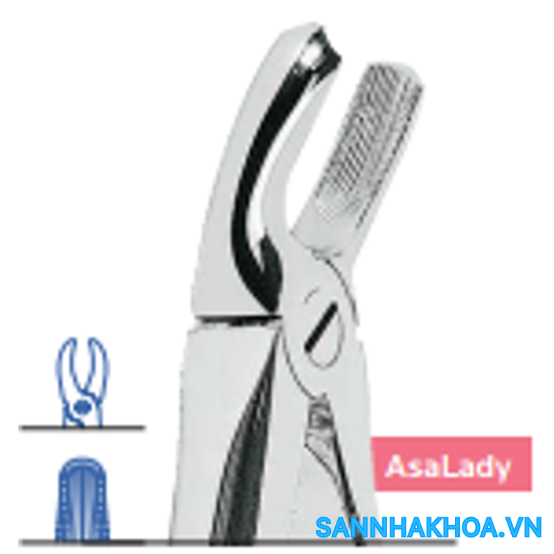 Mua Kềm Nhổ Răng Cối (Mỏ Hở) - Asa Dental ️ VAT đầy đủ